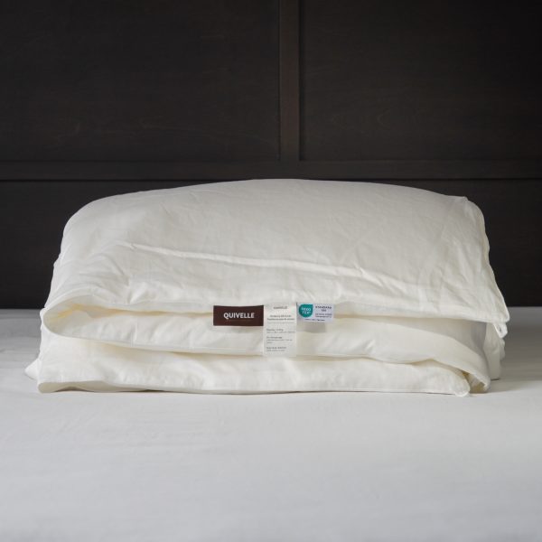 AllSeason2 All-Season Silk Duvet