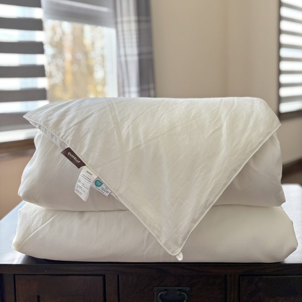 AllSeason8 All-Season Silk Duvet