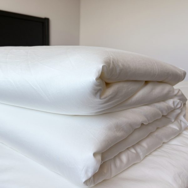 winter4 Winter Silk Duvet